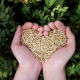 Perdere peso con la “Rice Diet” di Martin