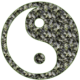 Corso di diagnosi SONO YIN O SONO YANG Parte 2